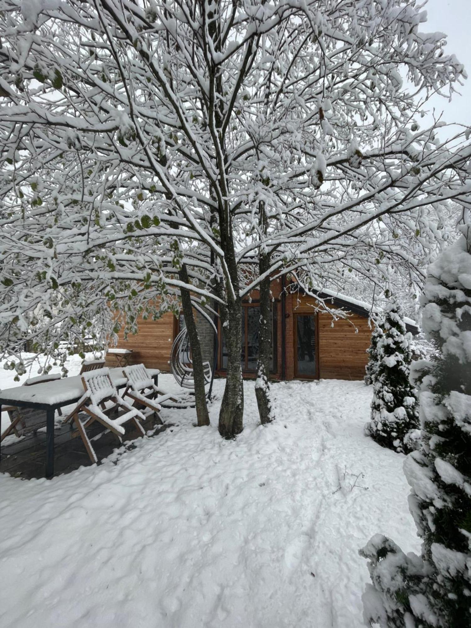 Villa Alpina Brezovica Kültér fotó