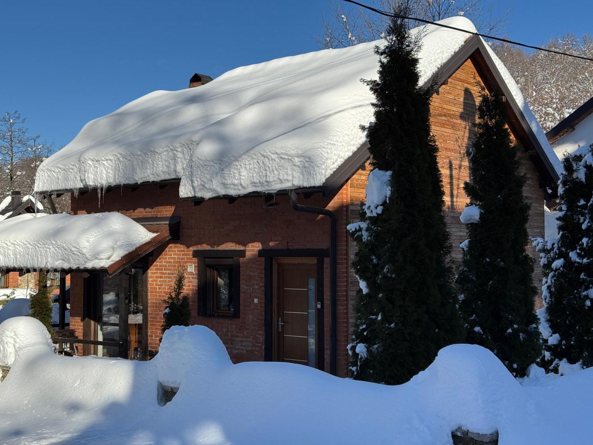 Villa Alpina Brezovica Kültér fotó
